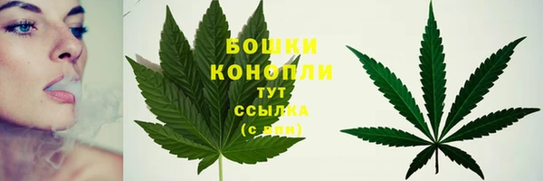 гашик Белокуриха